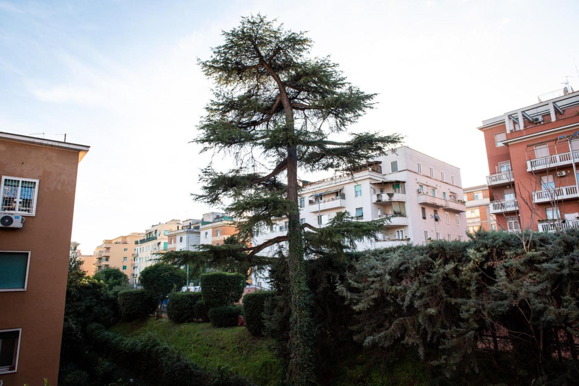 Appartement Casa Di Oscar